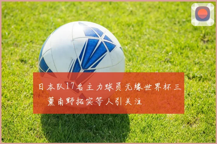 日本队17名主力球员无缘世界杯三笘薰南野拓实等人引关注