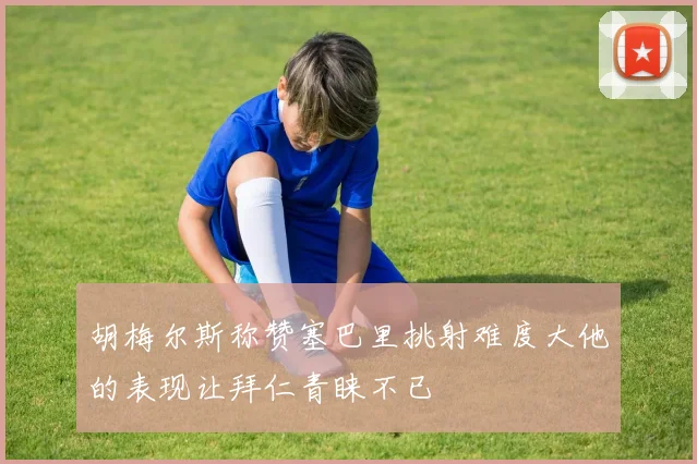 胡梅尔斯称赞塞巴里挑射难度大他的表现让拜仁青睐不已